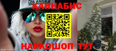 спиды Моздок