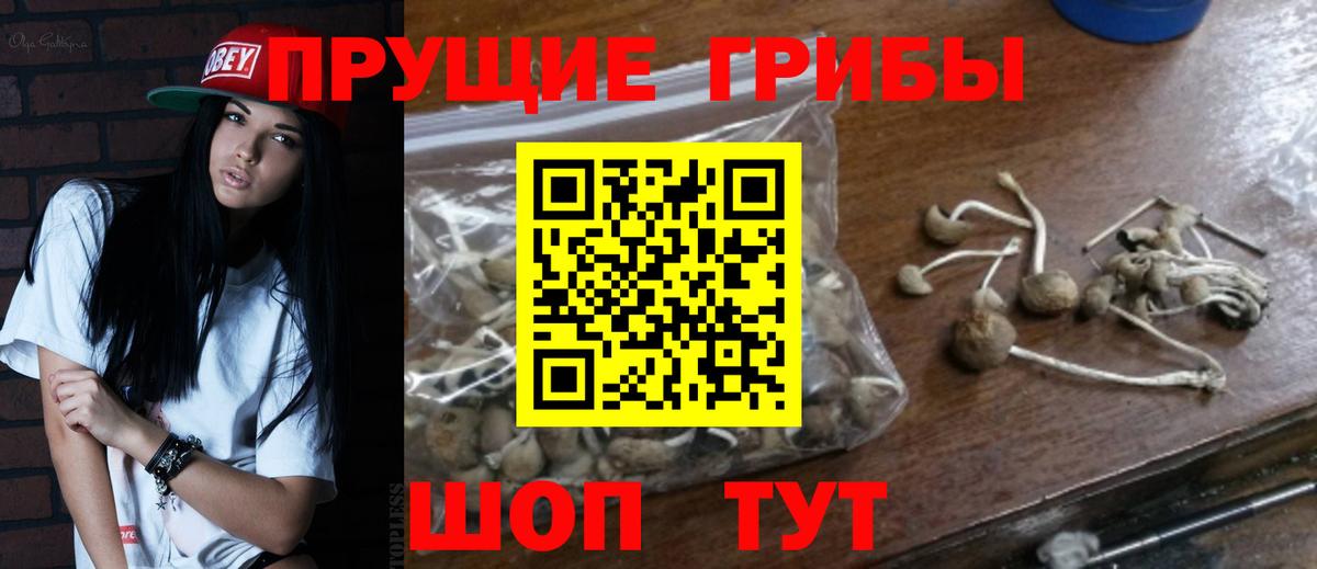 Галлюциногенные грибы Magic Shrooms  купить закладку  Уварово  Вход с VPN 