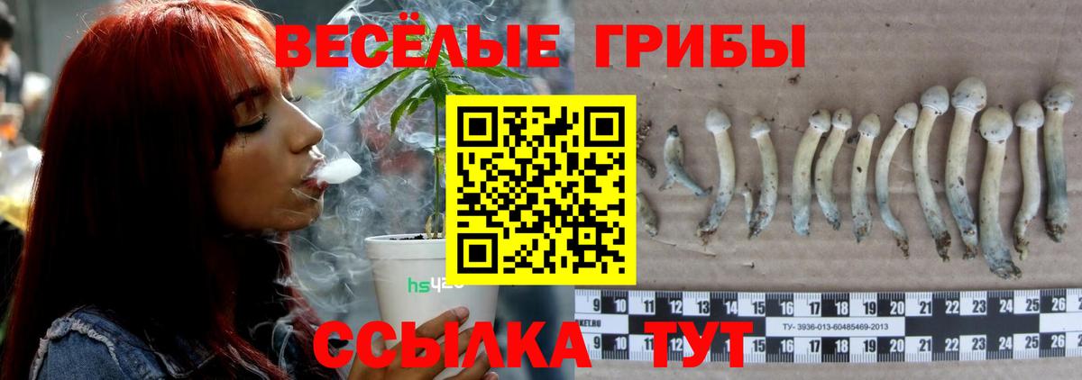 Галлюциногенные грибы Psilocybine cubensis Уварово